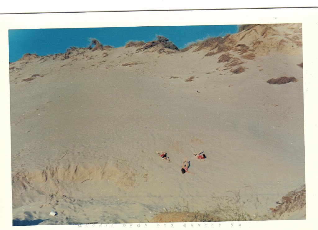 BOU SFER TRANCHE DE VIE 006 LES DUNES DE SABLE DE LA PLAGE BOMO.JPG